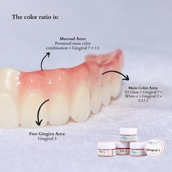 Gingival Pink Aesthetic Solution
